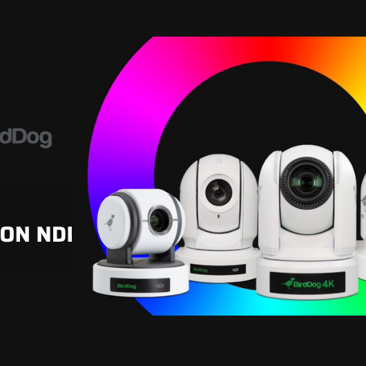 Cámaras PTZ de BirdDog con integración a NDI Atelsa