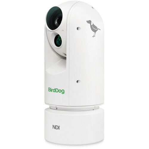 Cámara PTZ BirdDog Eyes A300 Full NDI 1080p con sensor Sony y SDI