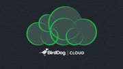 Birddog CLoud Birddog