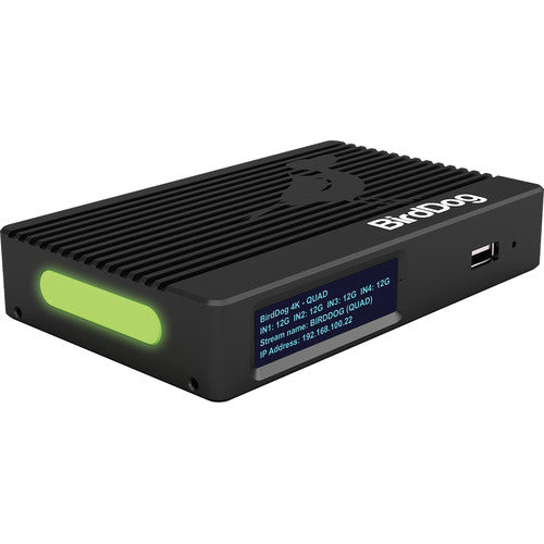 BirdDog 4K Quad NDI Encoder/Decoder Birddog