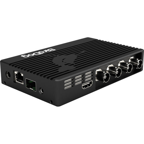 BirdDog 4K Quad NDI Encoder/Decoder Birddog