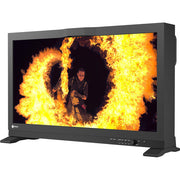 EIZO ColorEdge PROMINENCE CG3146 HDR Reference Monitor (32") EIZO