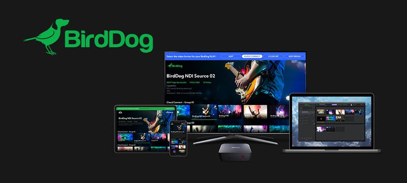 Birddog CLoud Birddog