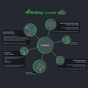 Birddog CLoud Birddog