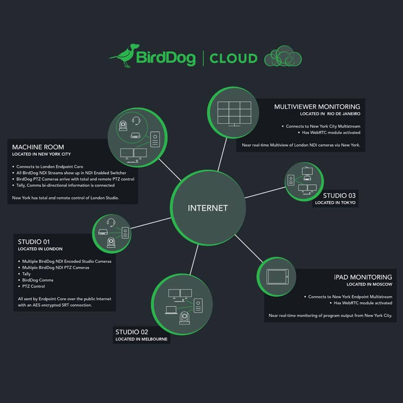 Birddog CLoud Birddog