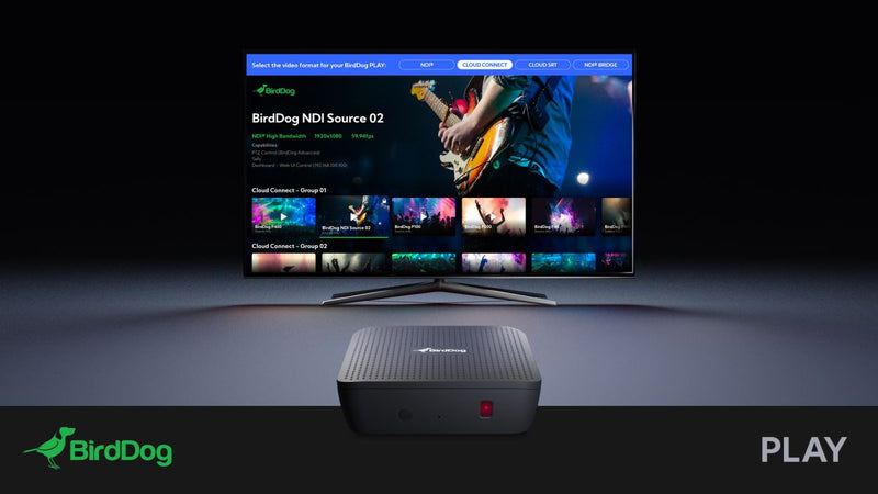 Birddog CLoud Birddog