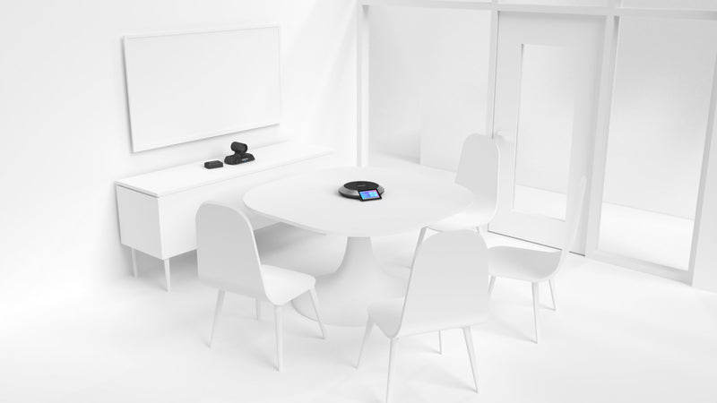 Lifesize Icon 450 Lifesize